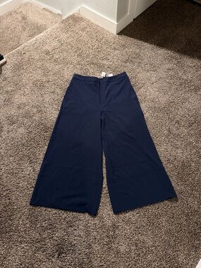 Banana Republic Dark Navy Wide-Leg Palazzo Pants